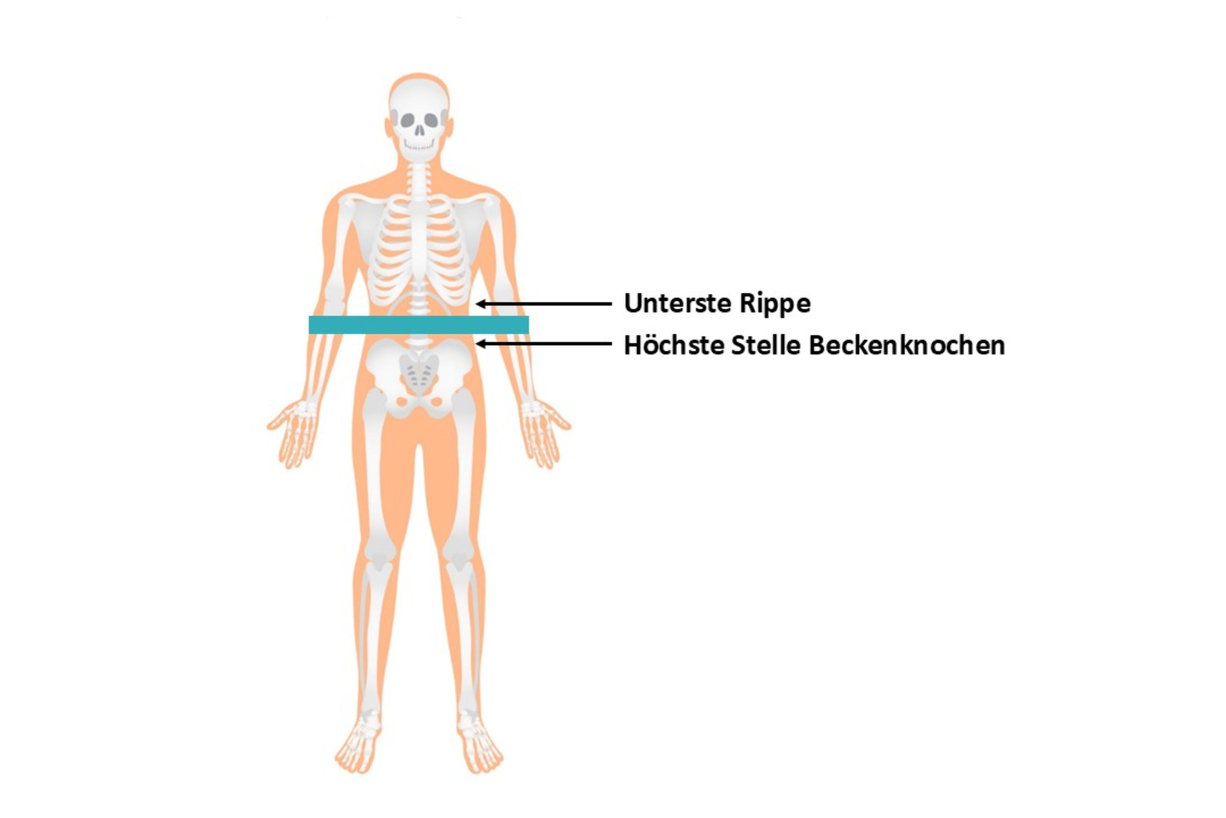 Wo Messe Ich Den Bauchumfang impuls.migros.ch
