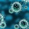 Influenza Grippe Virus