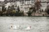 Drei Winterschwimmer planschen im Rhein