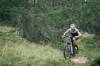 Biker auf E-Mountainbike kämpft sich durch Graspfad in Nadelholz-Gelände