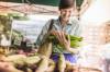 Veganerin kauft Maiskolben auf Markt ein