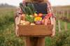Bauer hält frisch geerntetes Gemüse in Holzbox
