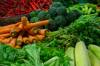 Frisches, buntes Gemüse: Salat, Schmorgurken, Brokkoli, Möhren, Pepperoni