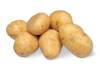 Festkochende Kartoffeln