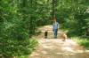 Jeans-Frau mit Zöpfen und Sonnenbrille spaziert mit zwei Hunden auf einem Waldweg