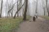 Frau mit Hund auf Winterspaziergang im diesigen Wald