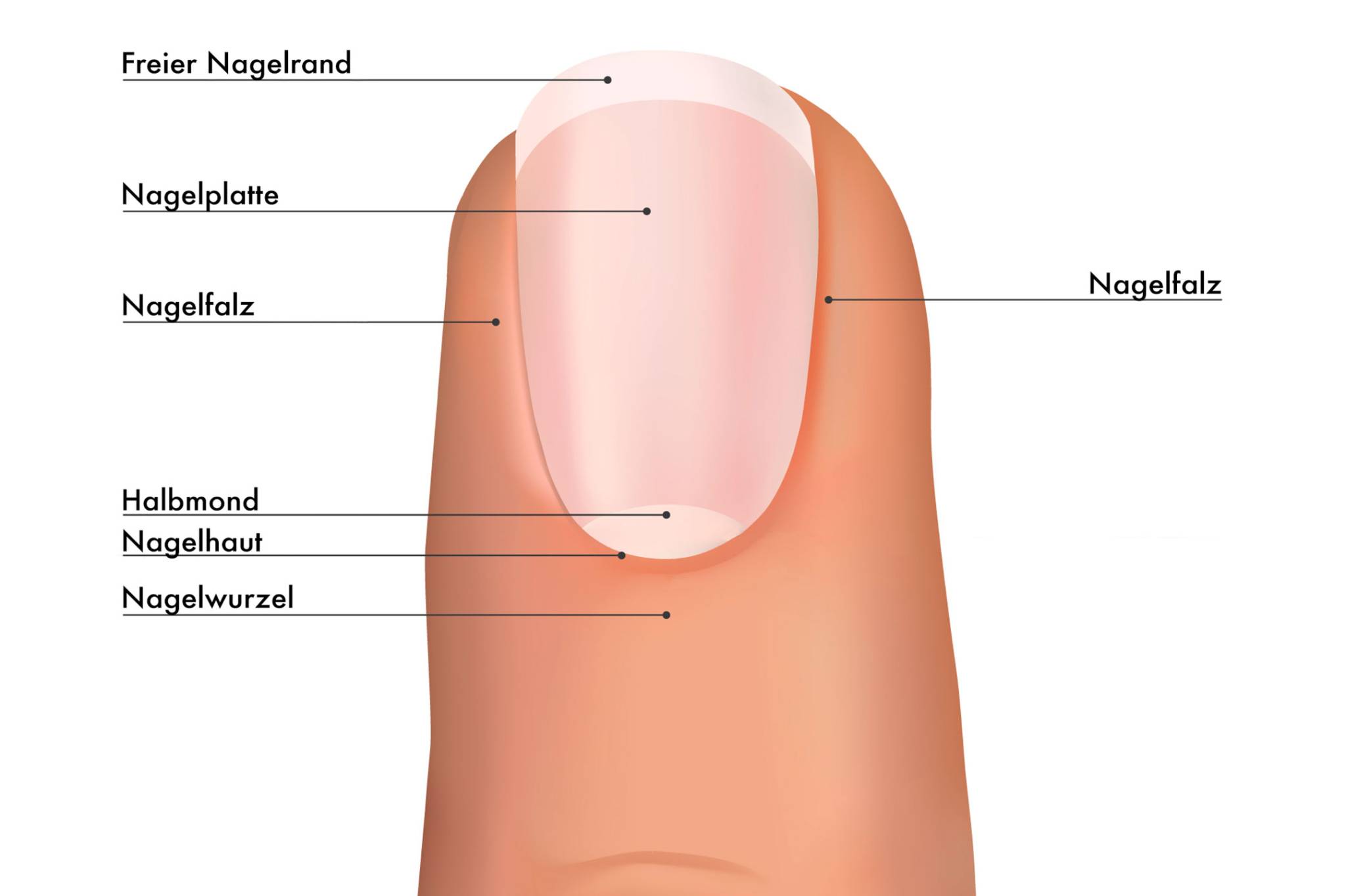 Eingewachsene Zehennägel Ursache und Vorbeugung Migros iMpuls