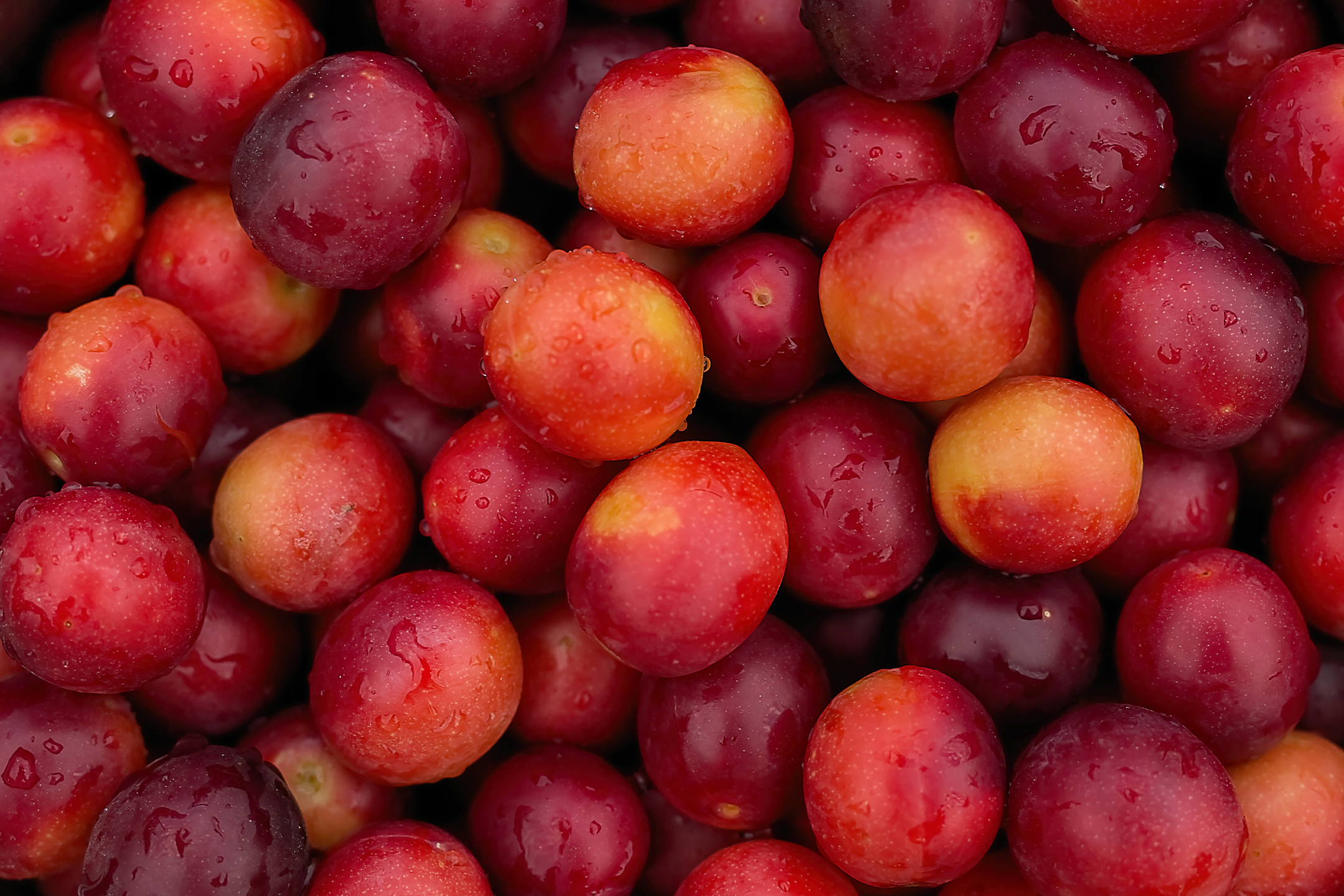 Prune: calories, nutrition et recettes | Migros iMpuls